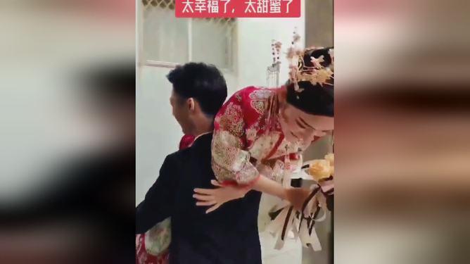 动物帮帮忙保卫家园